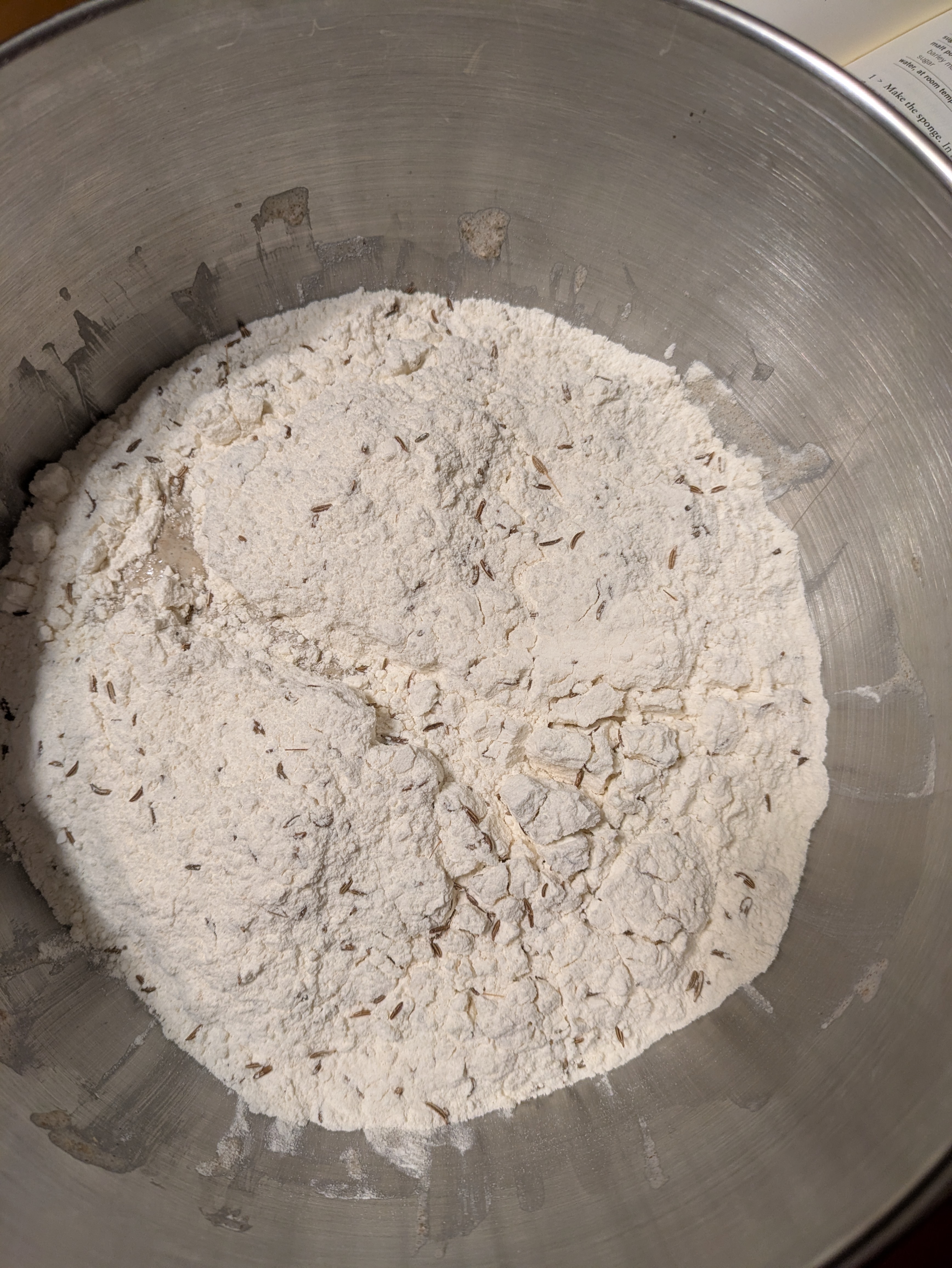 A photograph of a mixing bowl taken from above the bowl, looking down directly into its contents. In the bowl is a fair amount of flour and some visible caraway seeds. The sheet of flour is cracked in places, and a bit of the liquid sponge is showing through.