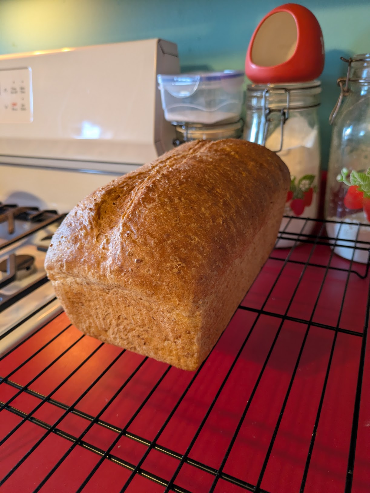 A loaf of bread cooling on a wire rack. The loaf is a sandwich loaf shape, photographed slightly from above. It is golden brown at the top, tan at bottom, with a slight score running down the length of loaf, at the center.