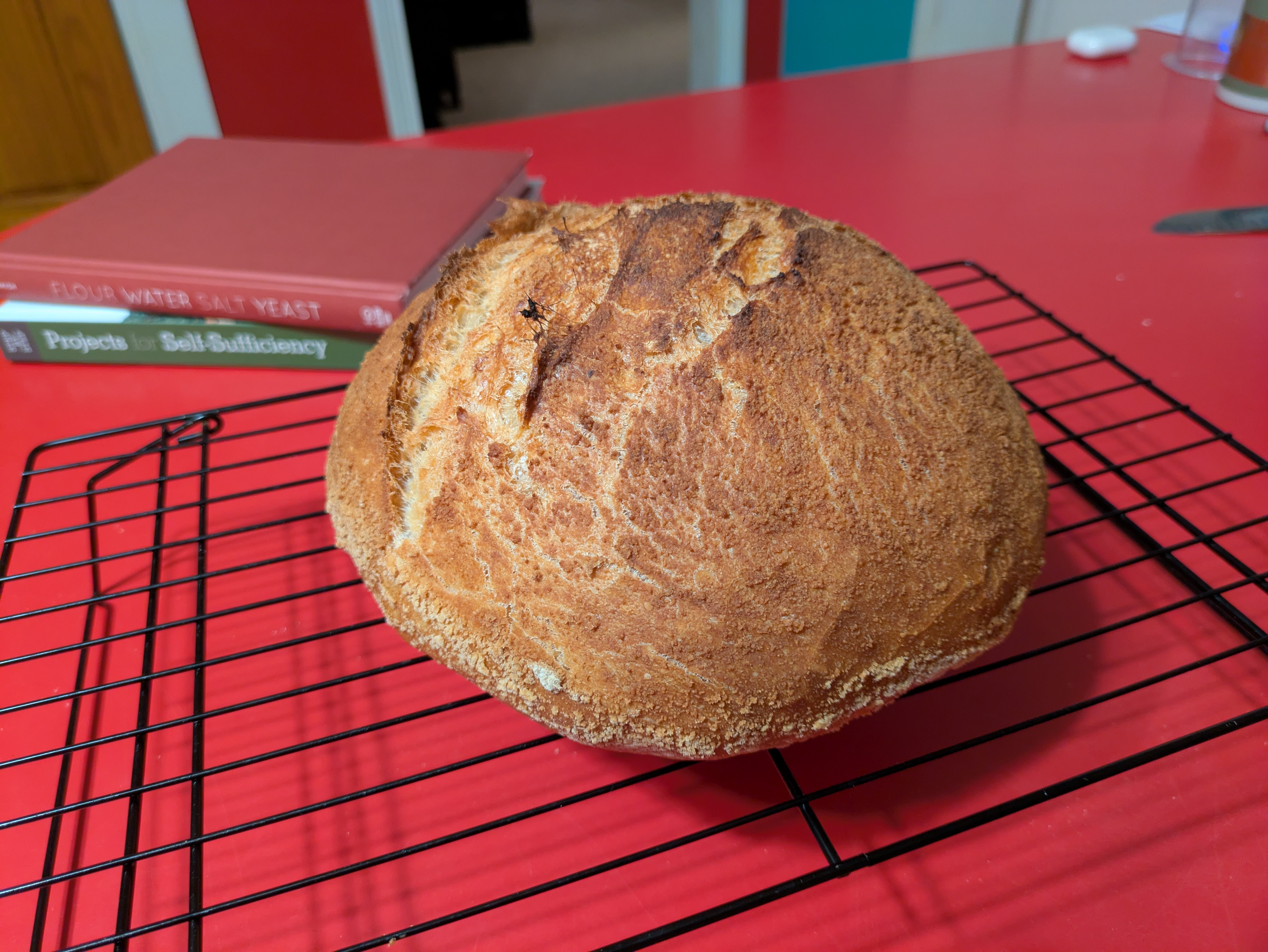 A loaf of bread cooling on a wire rack. The loaf is a boule shape, is golden brown to very dark brown in color, and shows some cracking and craggy crust at the top. Sitting on a red counter.