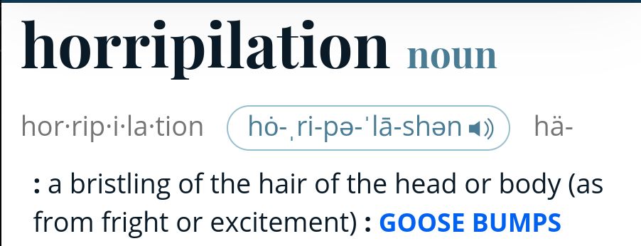 Screenshot showing the first lines of a dictionary entry for the word 'horripilation.' After the entry word title, it reads, 'a bristling of the hair of the head or body (as from fright or excitement).'