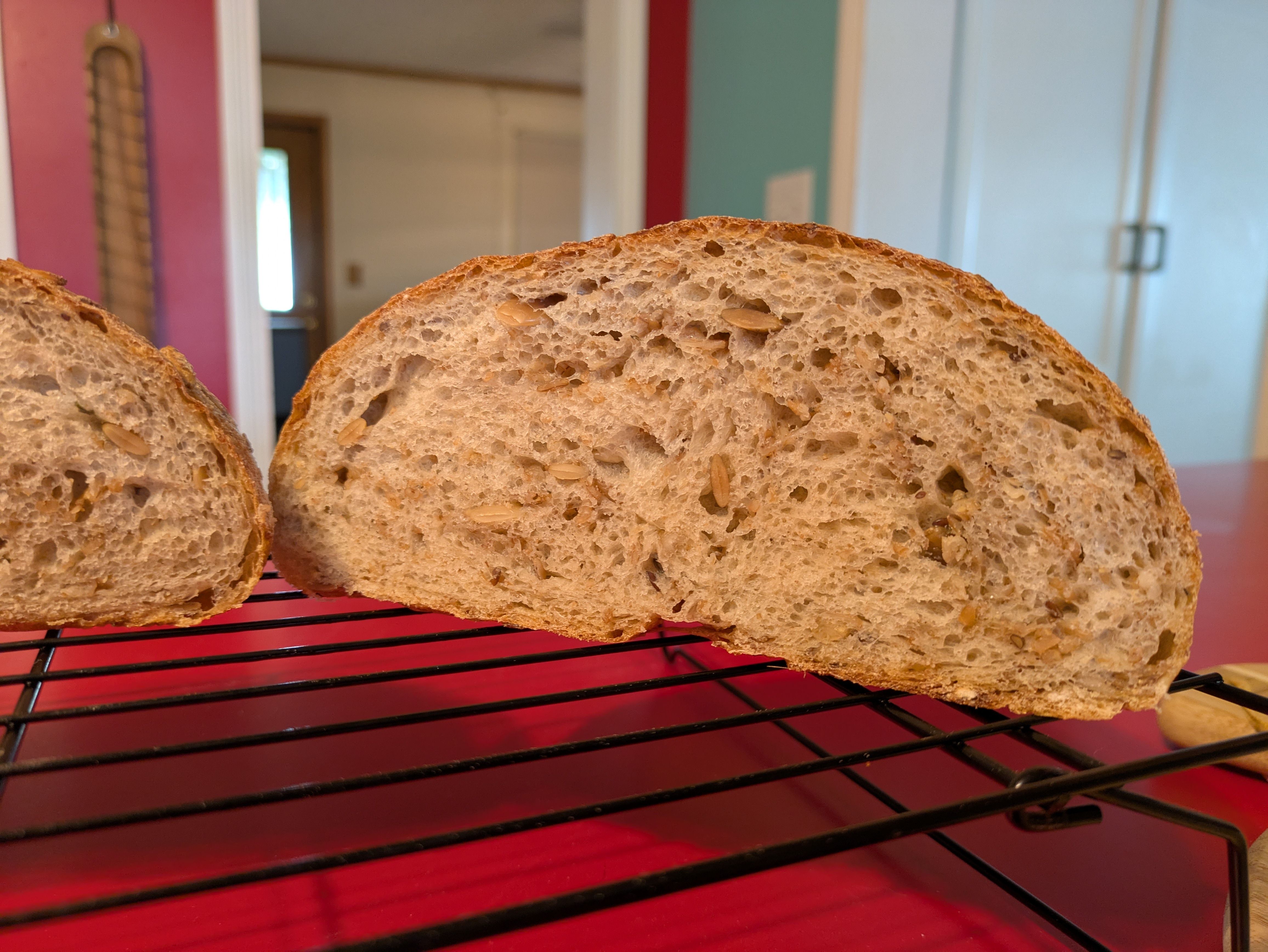 Half of a loaf of bread, cut-side facing the camera, on a wire rack. The light crumb of the bread has small holes randomly distributed throughout. Seeds are visible and the golden crust is clearly defined.