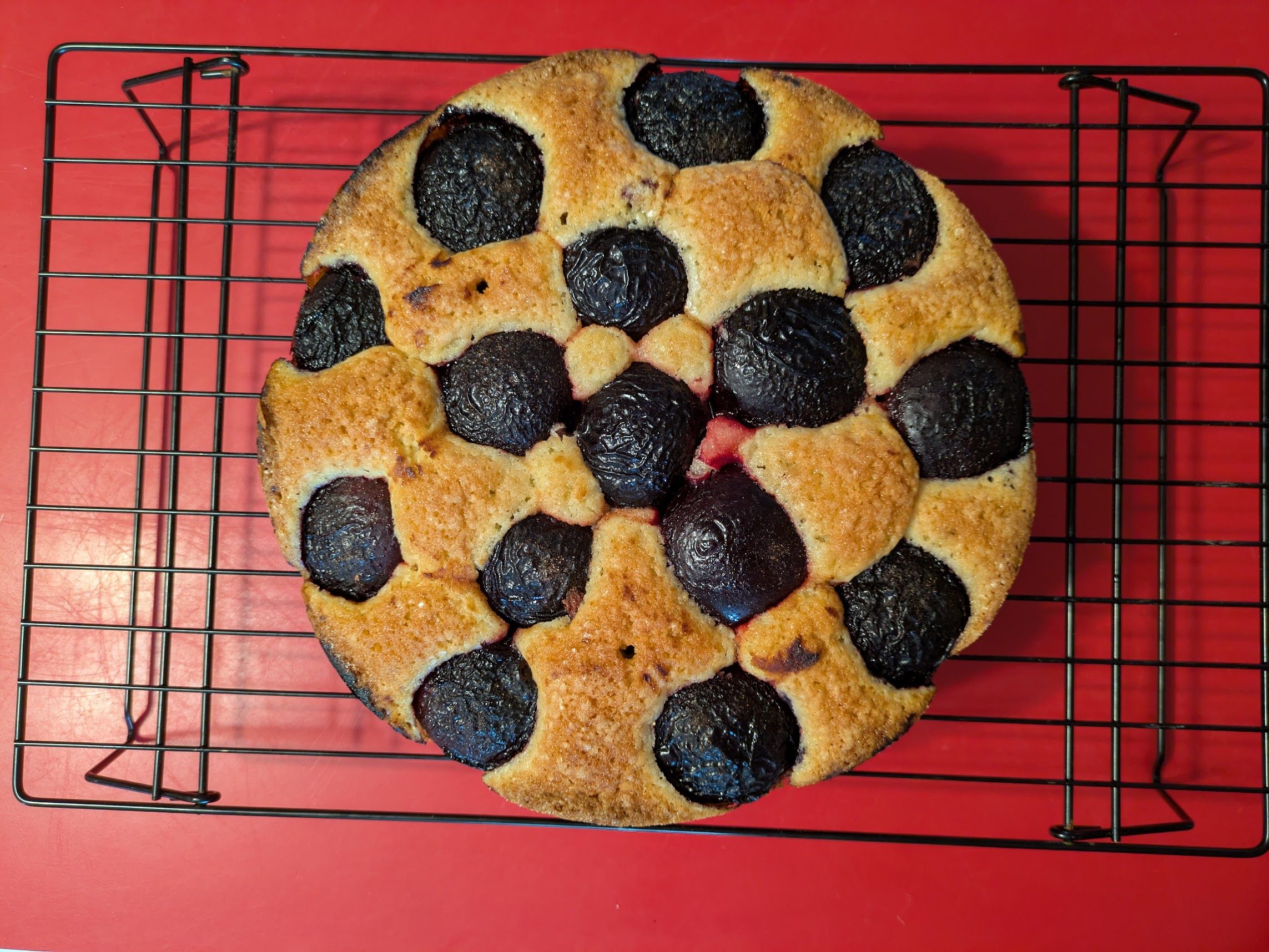A photo of a plum torte taken from directly above. It is on a wire cooling rack, against a red background. Big plums with deep purple skin are arranged in a circular pattern against the golden cake.