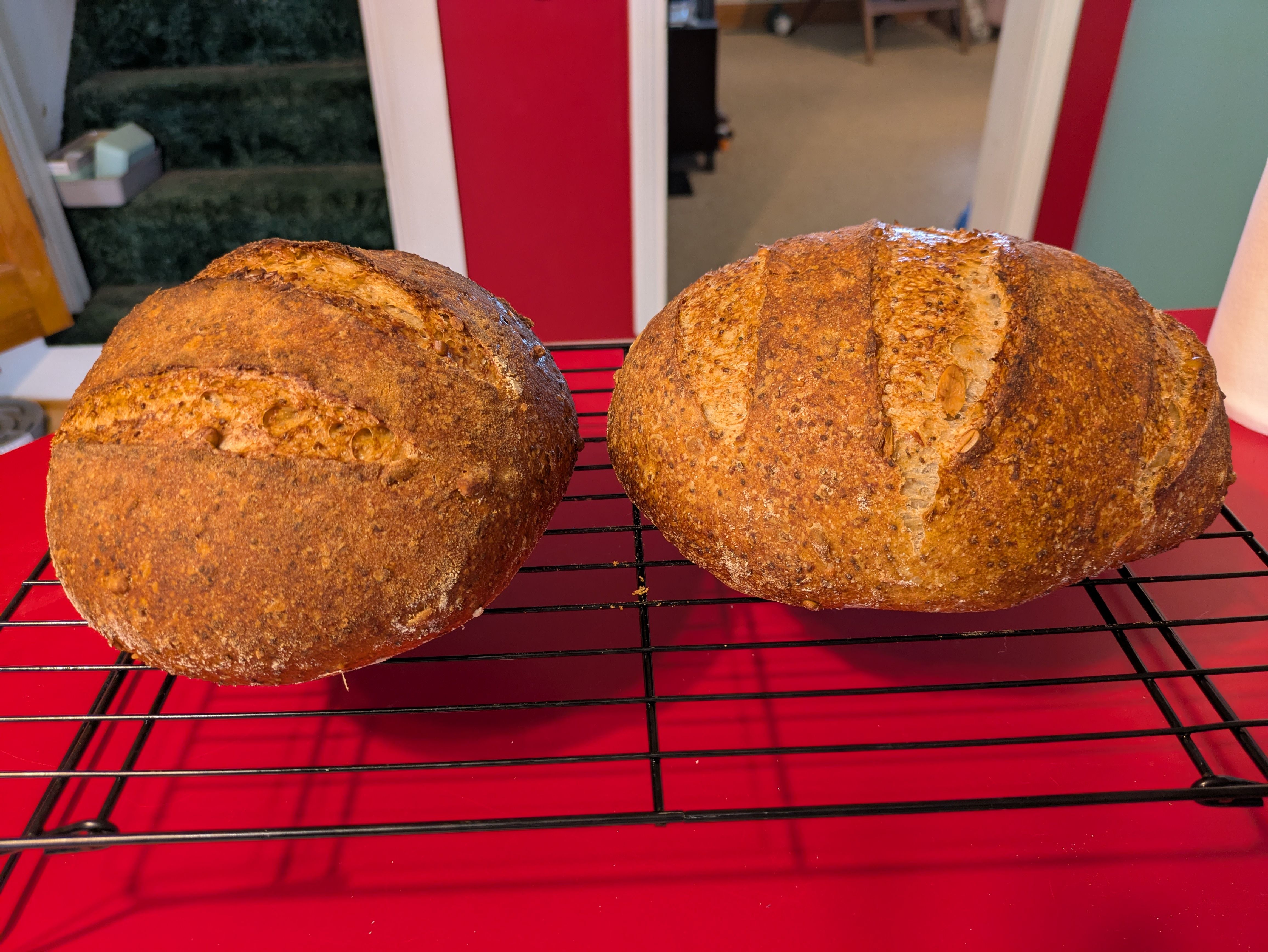 Two boules on a wire cooling rack, one a little more rounded than the other. Each has a deep tan to dark brown color with score marks across the top.