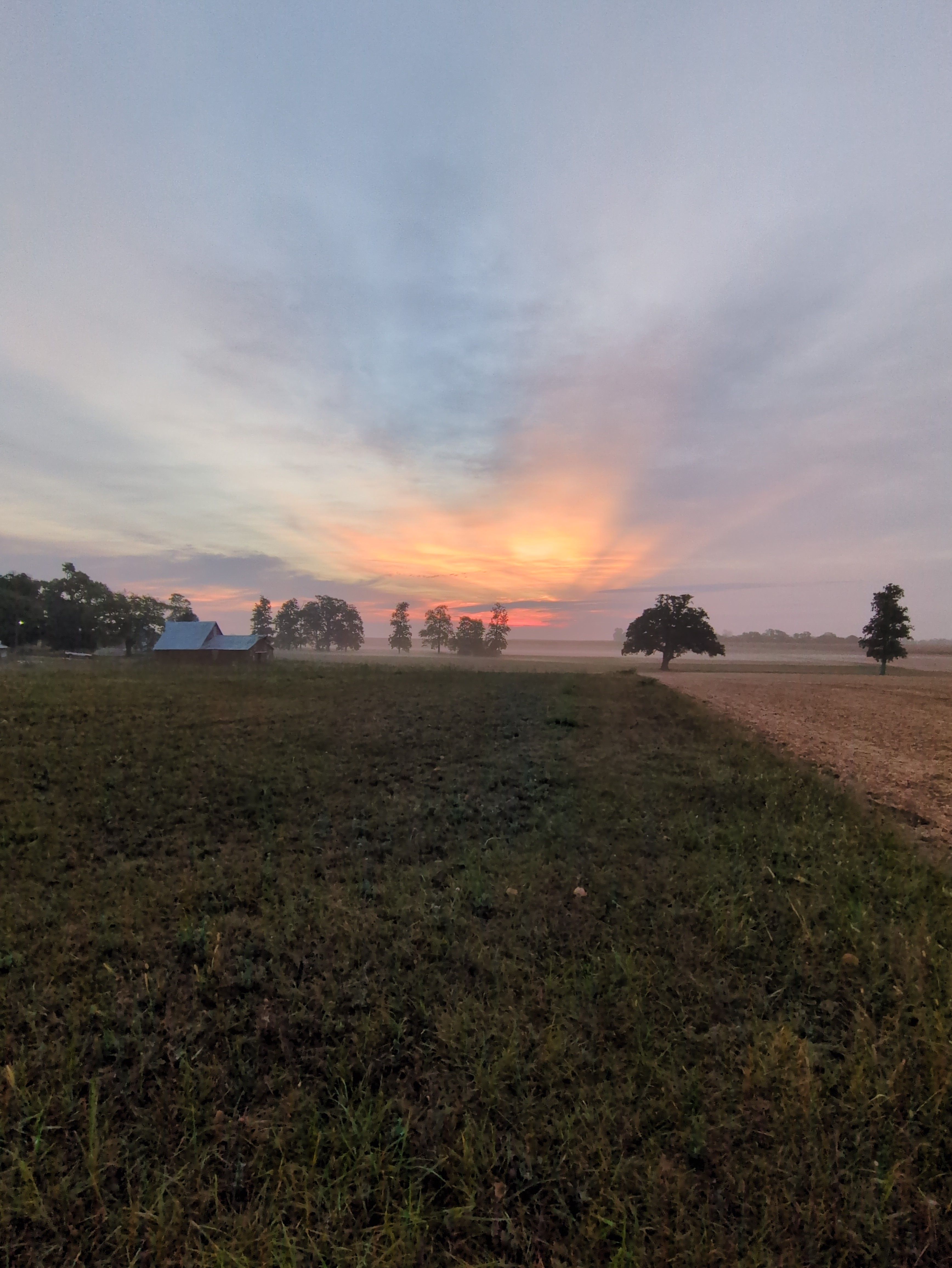 Photograph of a field and barn landscape, in portrait mode (vertical). Bottom half: mostly green grass across a field. Top half: a hazy sky with scattered clouds, with strong orange-pink beams coming through some clouds. On the horizon, a barn and treeline.
