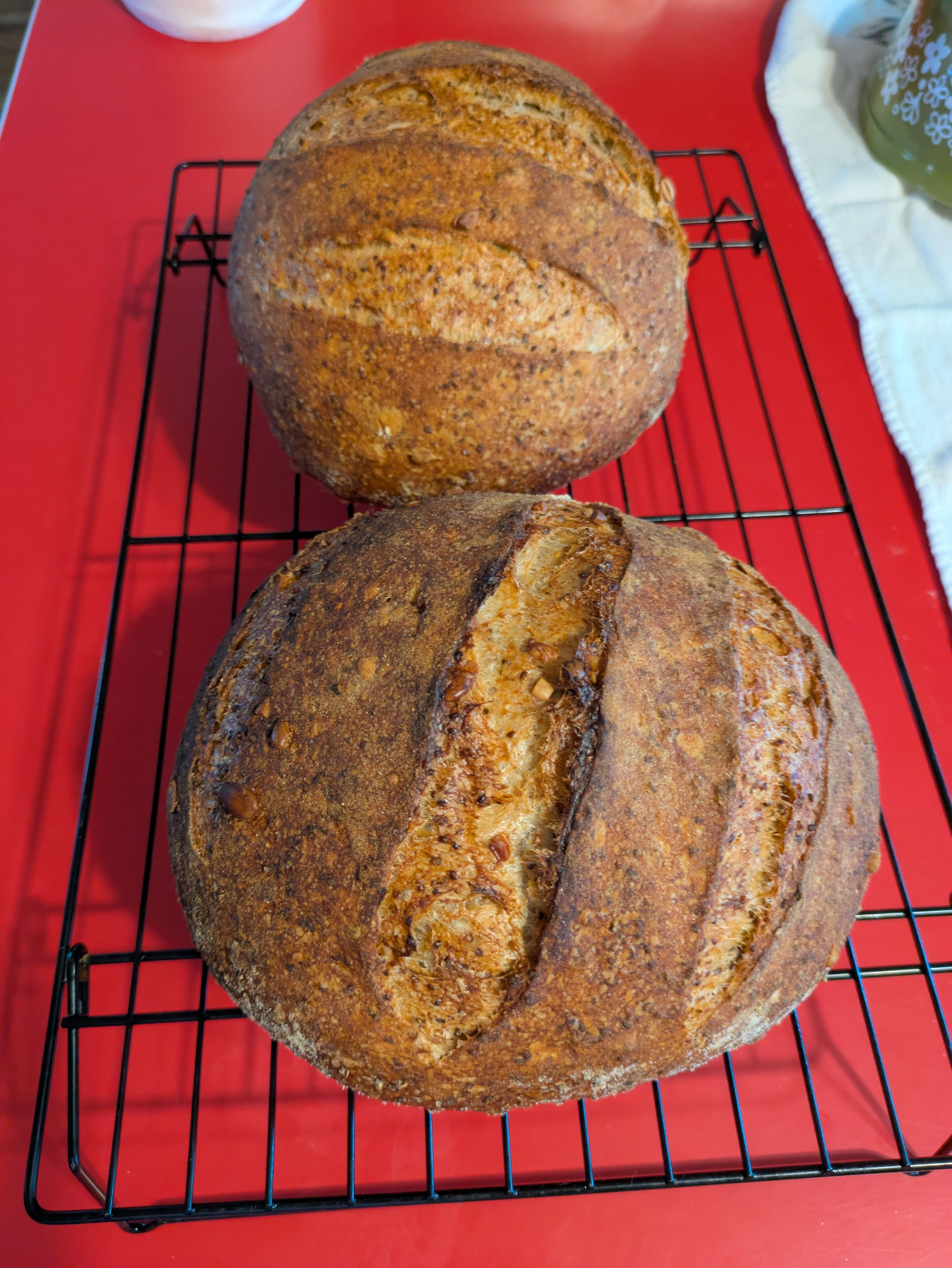 Two boules on a wire cooling rack, photo'd at an angle from above. The one in front has a bit more deep dark color to it, but both are dark tan to dark brown and flecked with seeds.